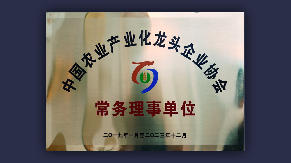www开云体育com